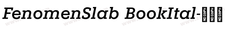 FenomenSlab BookItal字体转换